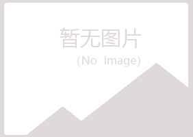 银川忆山能源有限公司